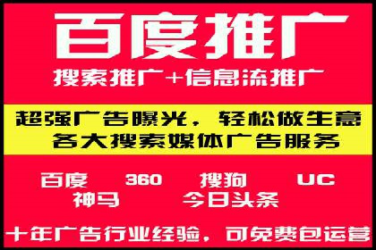 某某SEM服务公司成功案例：从数据出发的营销策略